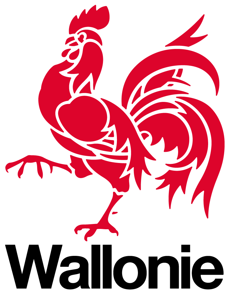 wallonie v