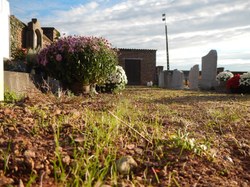  Enherbage des allées de cimetières (2) 
