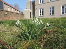  Gestion différenciée des espaces verts 